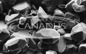 canadus-hvysulfated Heavily Sulfated